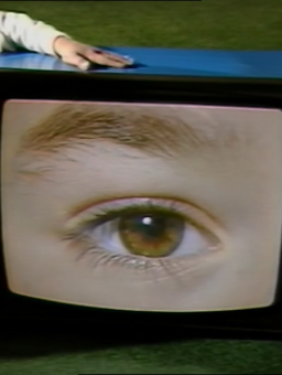Vidéo Brut (1984)