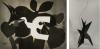 Helene Adant, Braque, Calder, BIbliotheque Kandinsky, Centre Pompidou