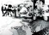 Mark Primack, Botanic Architecture, Tropical Island, 1974